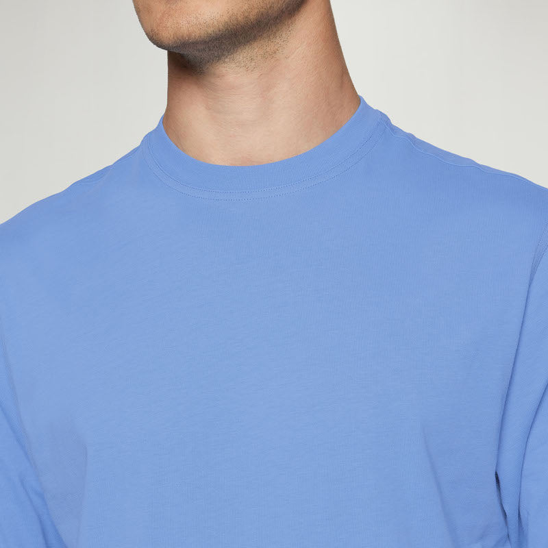 EddySi + - Blue Legacy