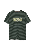 13656 LewiSi Subtle Stripe Print - Evergreen