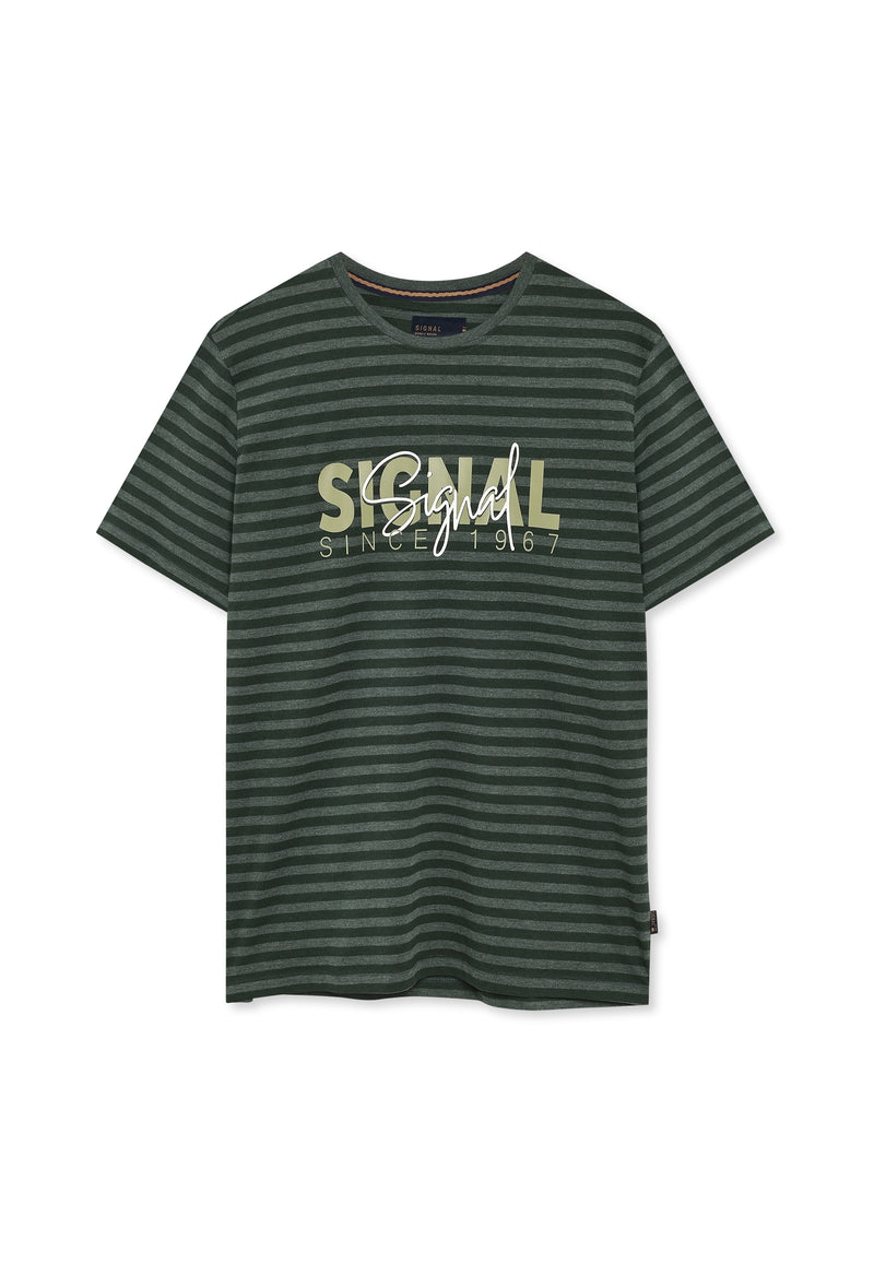13656 LewiSi Subtle Stripe Print - Evergreen