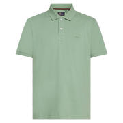 NickySi + Polo - Green Bay