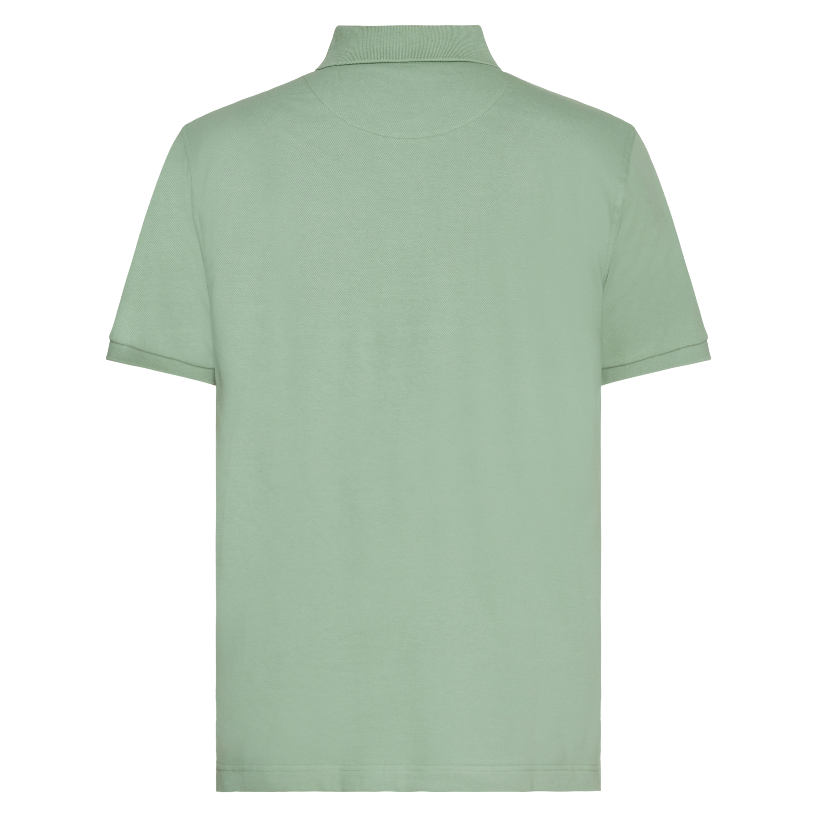 NickySi + Polo - Green Bay
