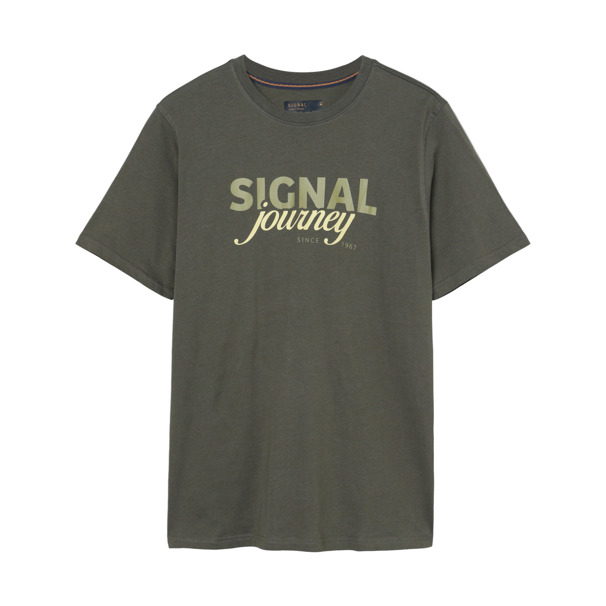 DizzySi Logo Tee + T-shirt/Top - Beluga green