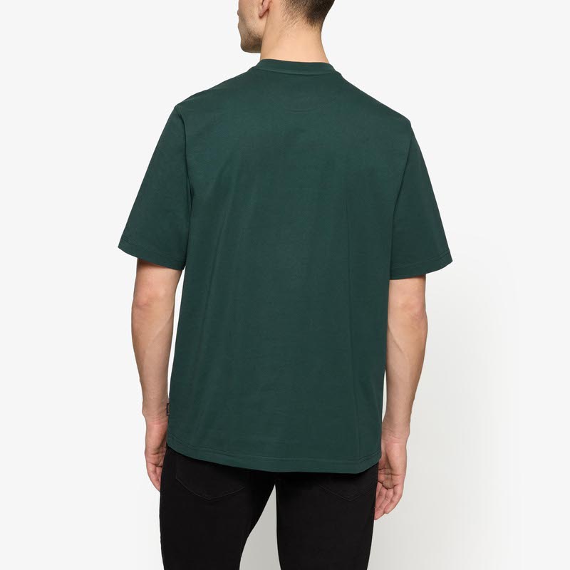 EddySi + - Evergreen