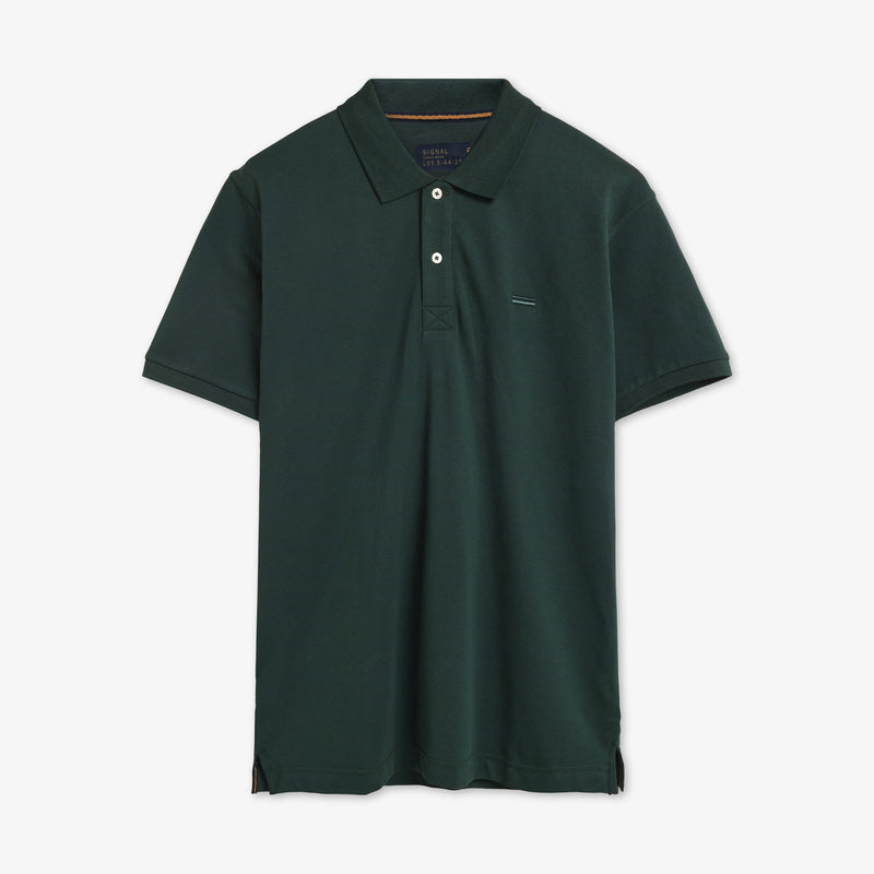 NickySi + - Evergreen